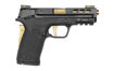 Picture of SMITH & WESSON SHIELD