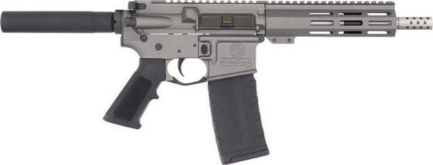 Picture of GREAT LAKES FIREARMS & AMMUNITION AR15