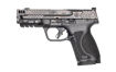 Picture of SMITH & WESSON M&P9 M2.0 PC