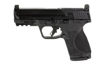 Picture of SMITH & WESSON M&P 22 COMPACT