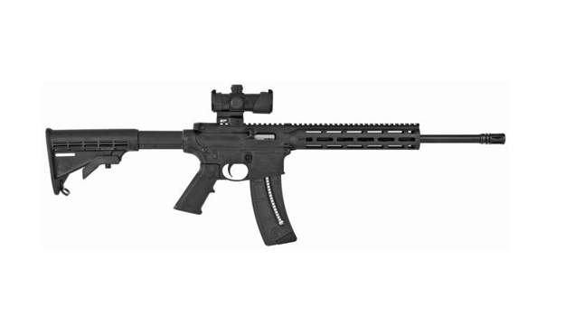 Picture of SMITH & WESSON M&P15-22