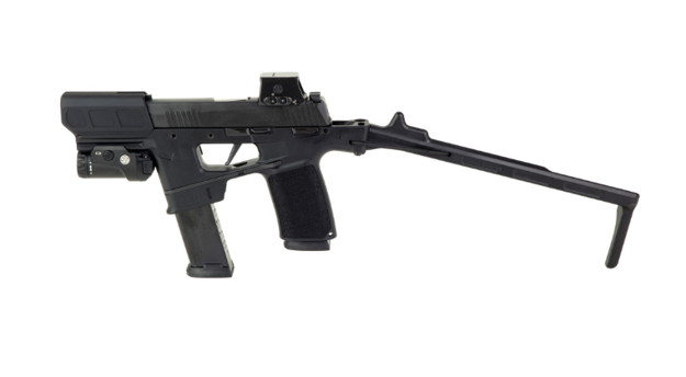 Picture of SigSauer P365 FLUX SENTRY